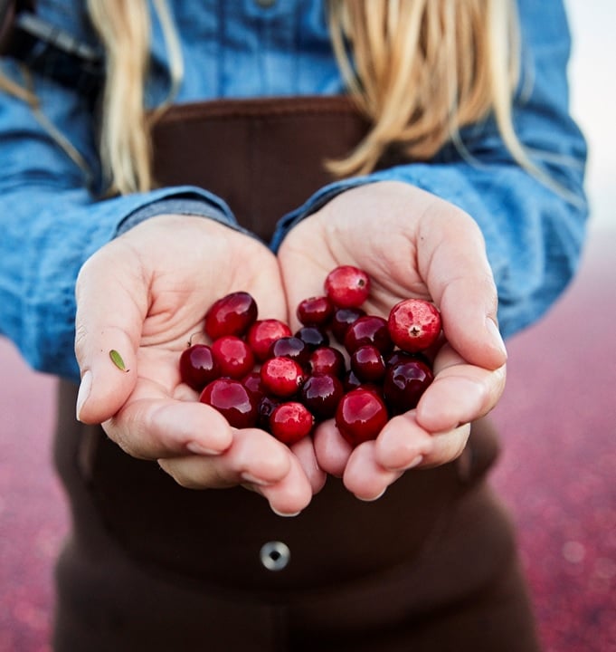 Cranberry FARM