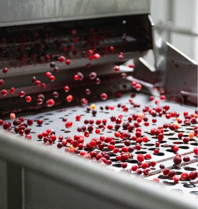 Cranberry MFG-1